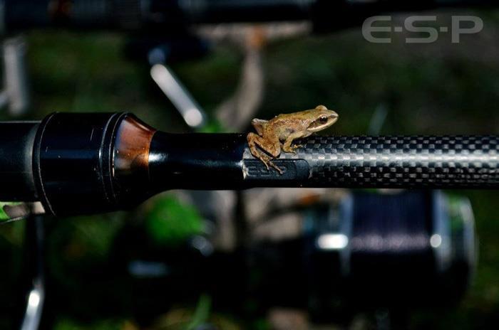 E-S-P - 59908210151538221369739393341355n.jpg